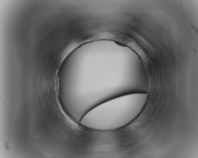 X0000097891055200803141001