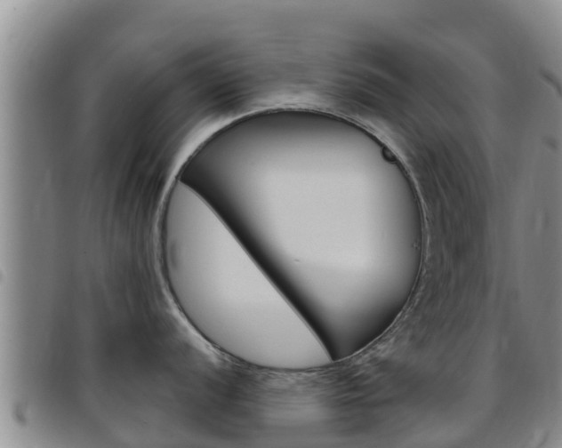 X0000097891056200803141001