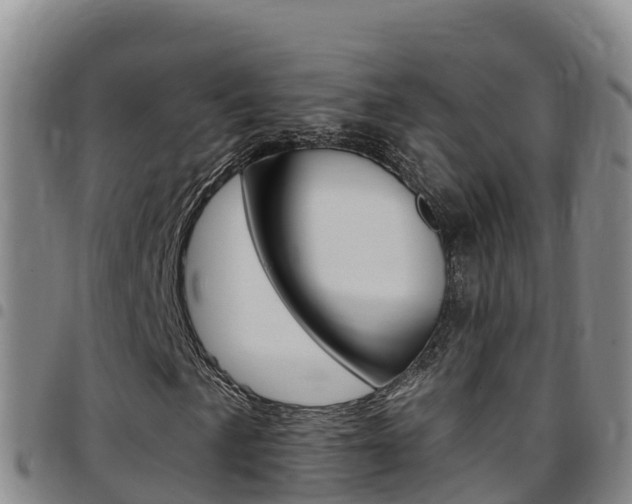 X0000097891057200803141000