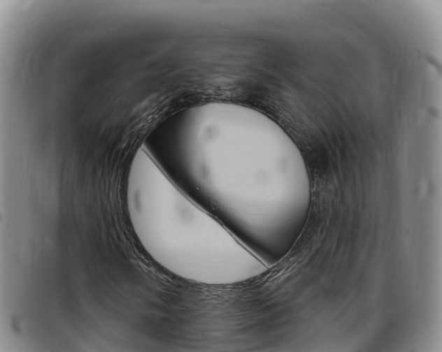X0000097891058200803141000