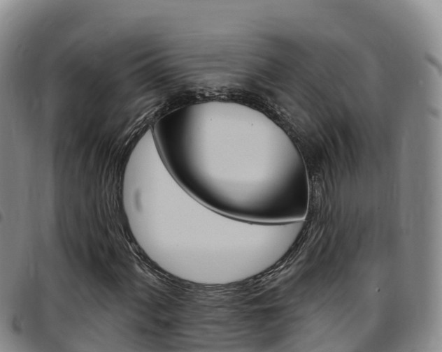 X0000097891060200803141000
