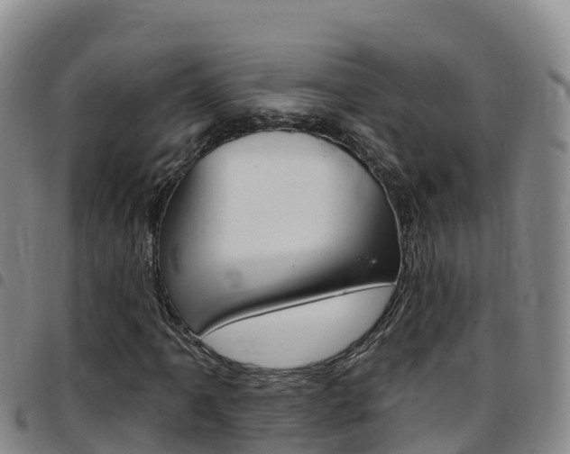 X0000097891061200803141000