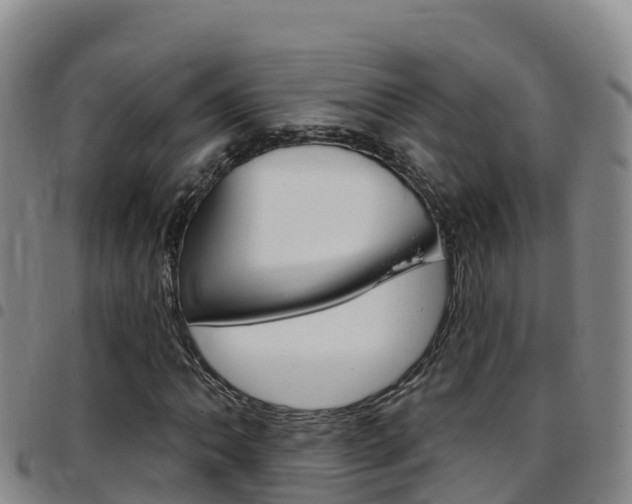 X0000097891062200803141000