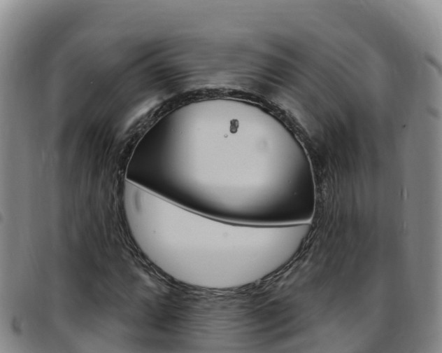 X0000097891064200803141000