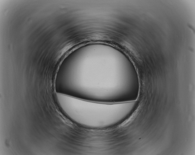 X0000097891065200803141000