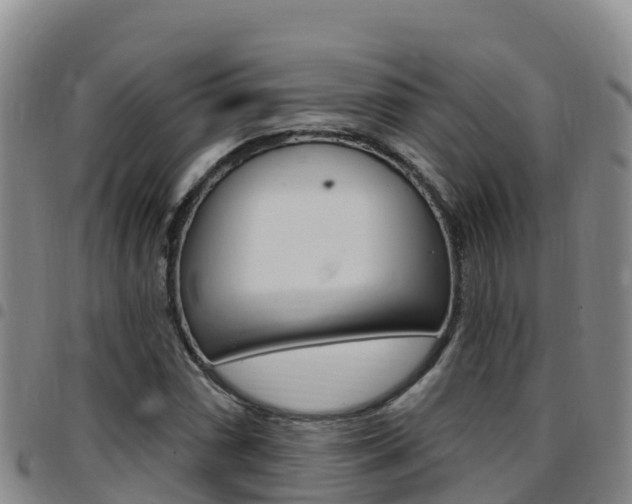 X0000097891066200803141000