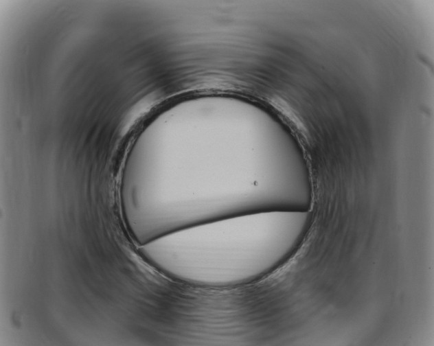 X0000097891067200803141000
