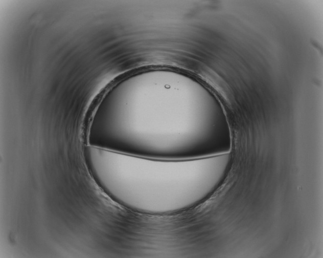 X0000097891068200803141000