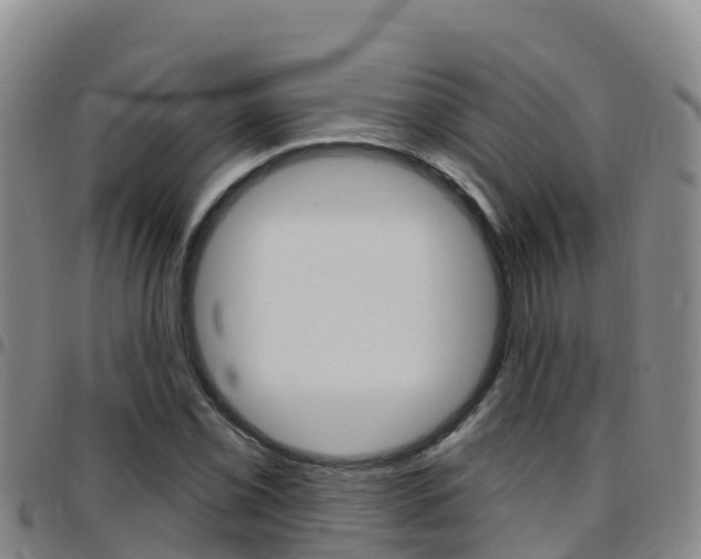 X0000097891069200803141000
