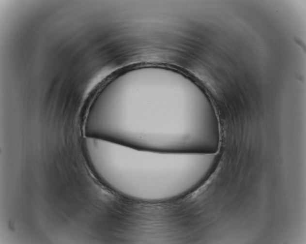 X0000097891070200803141000