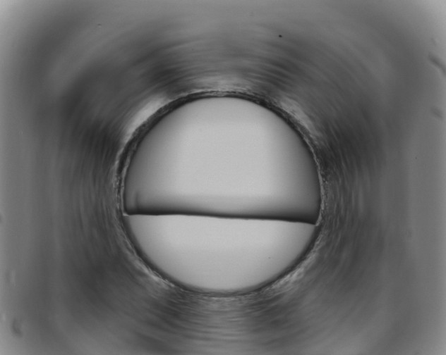 X0000097891071200803141000