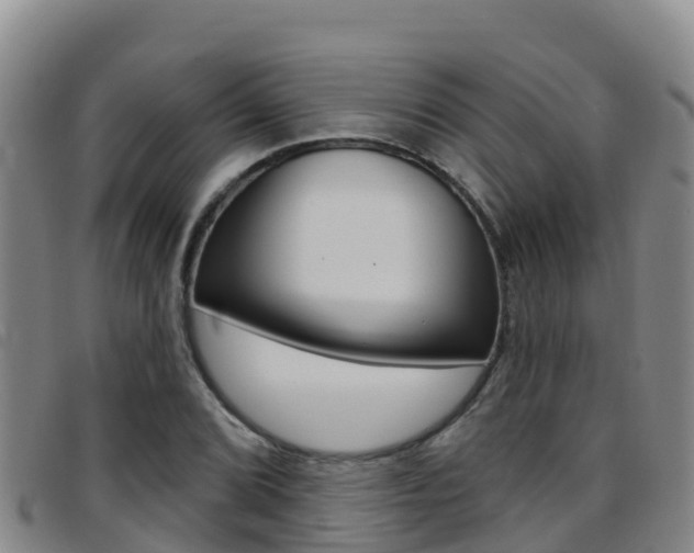 X0000097891072200803141000