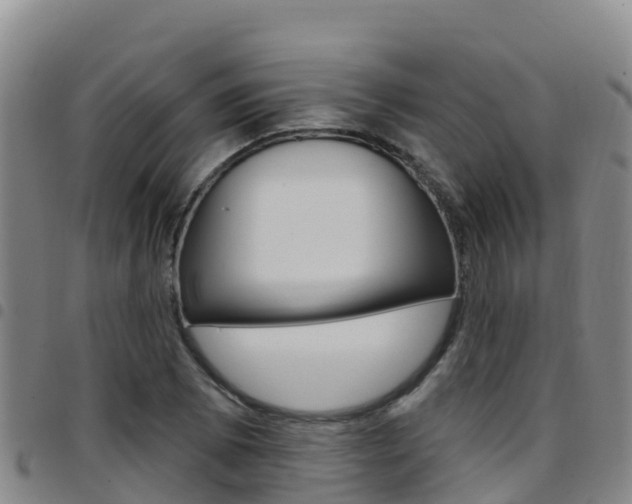 X0000097891073200803141000