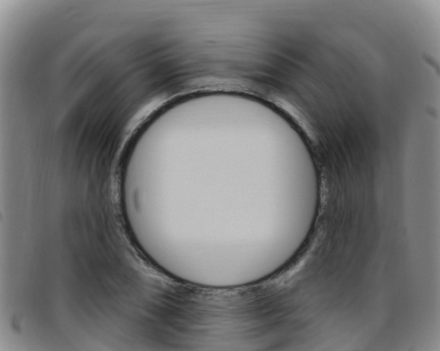 X0000097891074200803141000