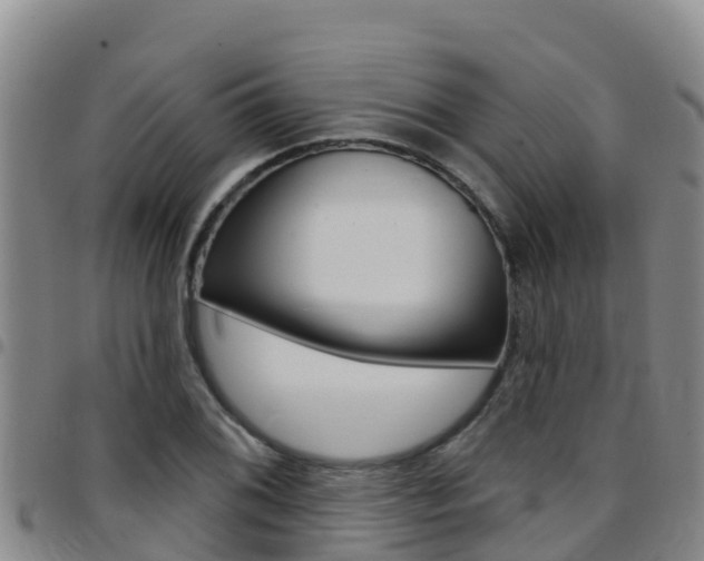 X0000097891076200803141000