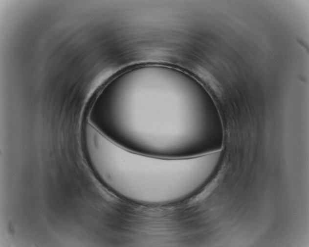 X0000097891077200803141000