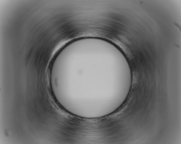 X0000097891078200803141000