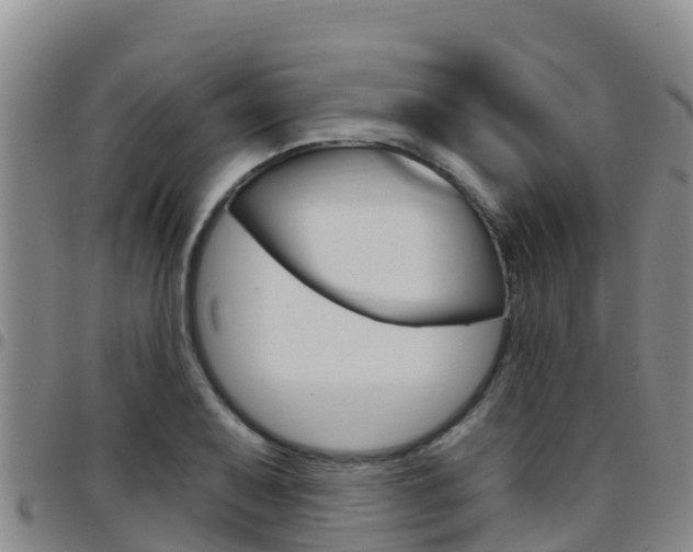 X0000097891079200803141000