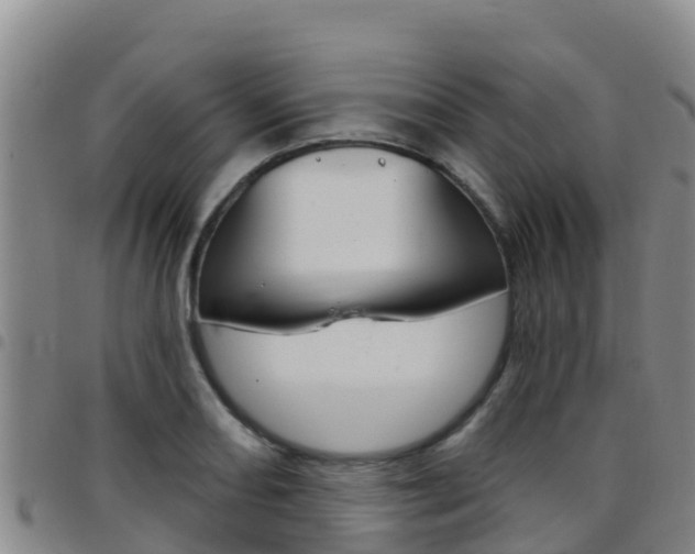 X0000097891082200803141000