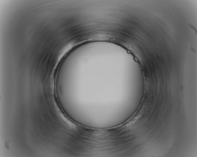 X0000097891083200803141000