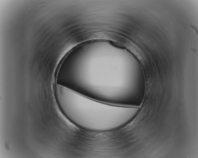 X0000097891084200803141000