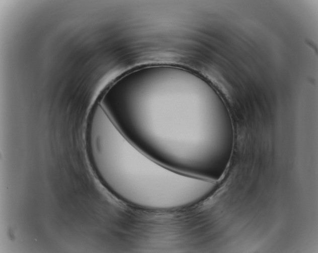 X0000097891085200803141000