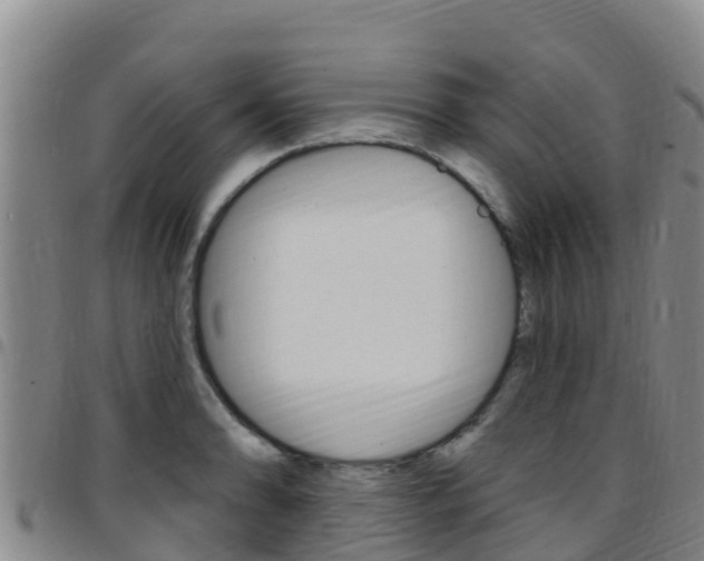 X0000097891086200803141000
