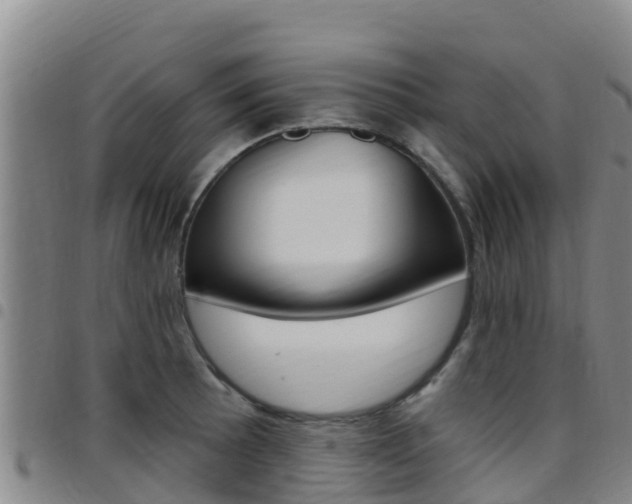 X0000097891089200803141000