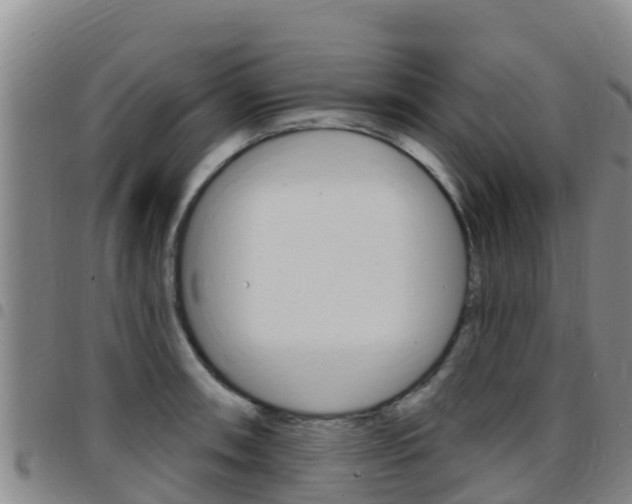 X0000097891090200803141000