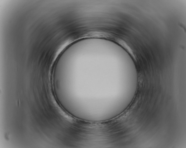 X0000097891091200803141000