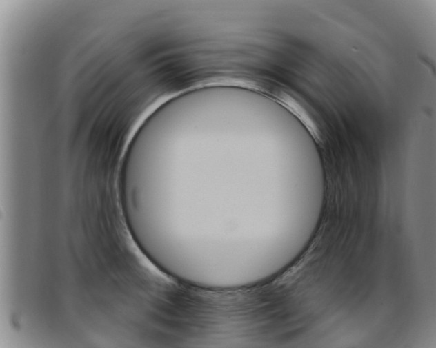X0000097891092200803141000