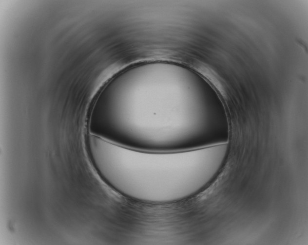 X0000097891093200803141000