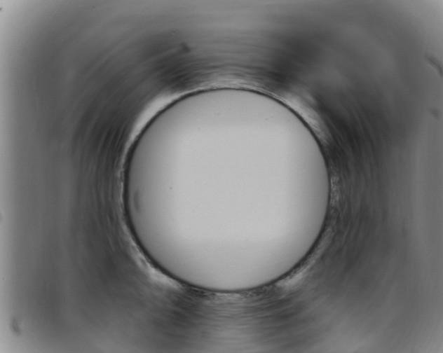 X0000097891094200803141000