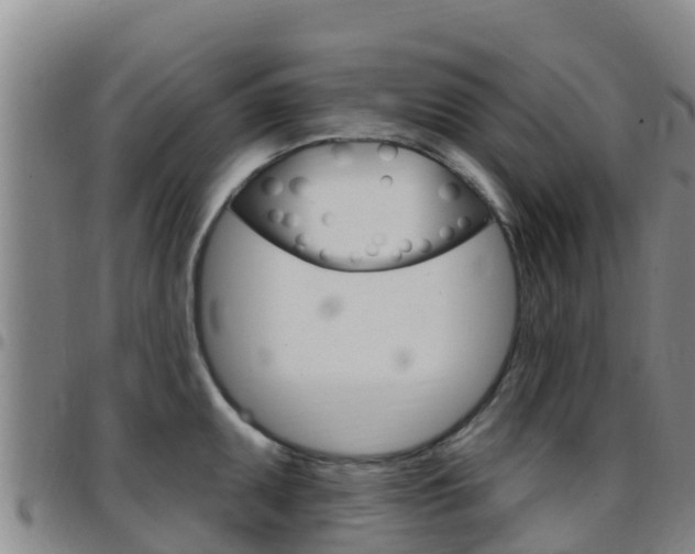 X0000097891095200803141000