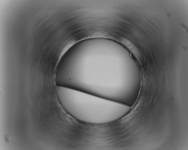 X0000097891097200803141000
