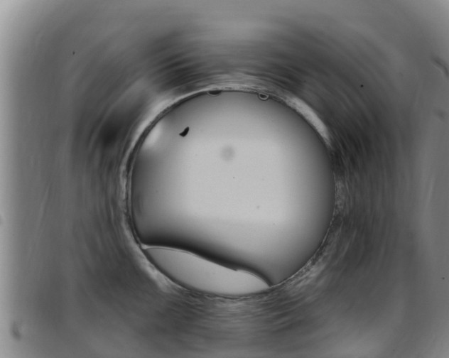 X0000097891099200803141000