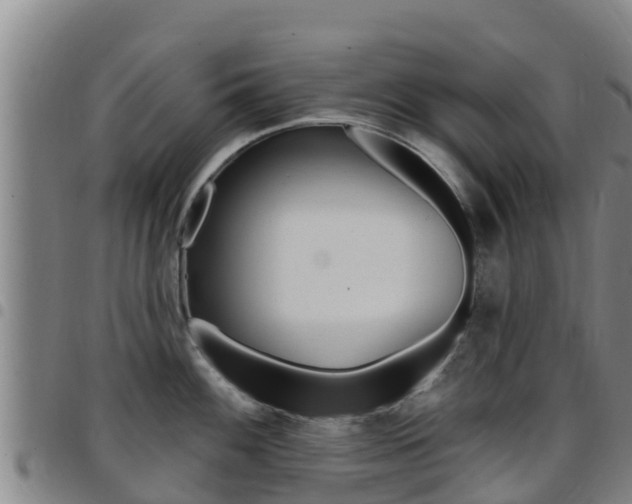 X0000097891100200803140959