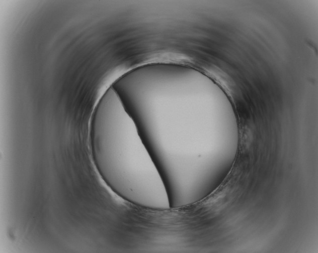 X0000097891103200803140959