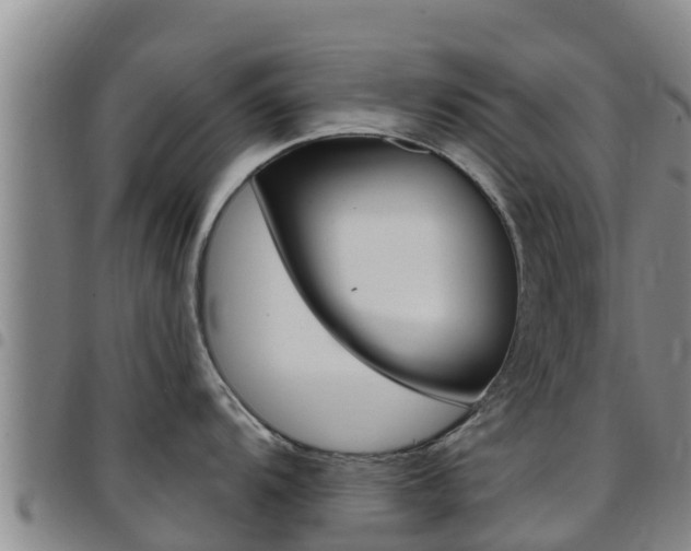 X0000097891104200803140959