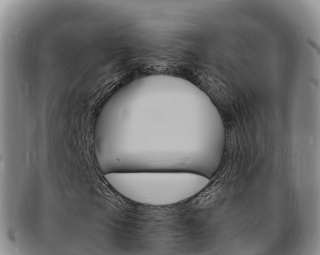 X0000097891105200803140958
