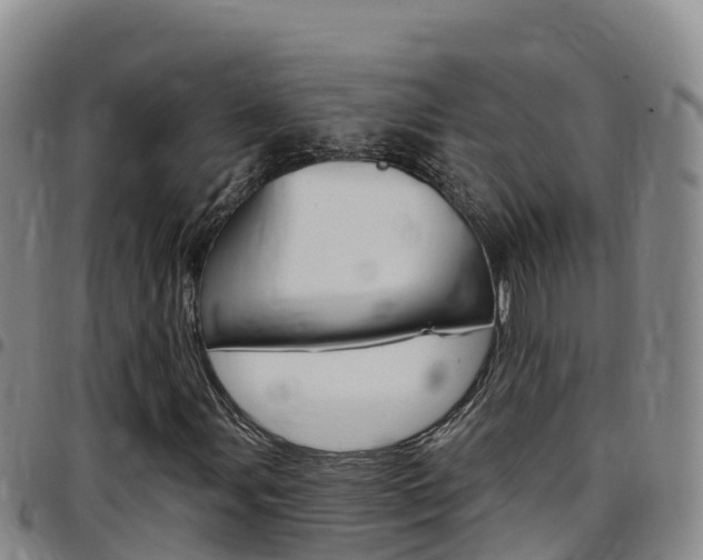 X0000097891107200803140959