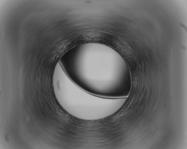 X0000097891108200803140959