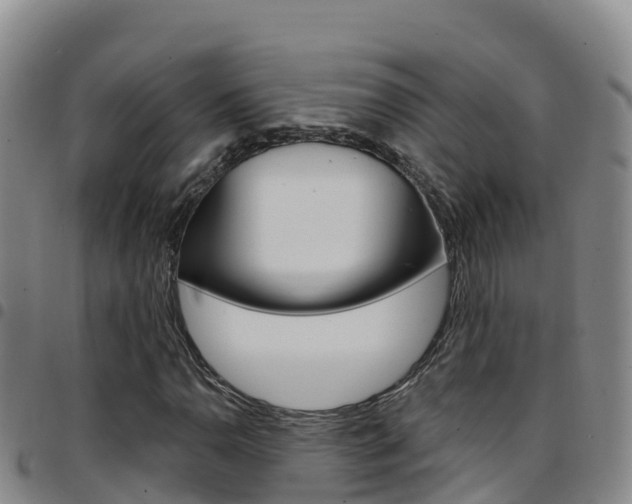 X0000097891110200803140959