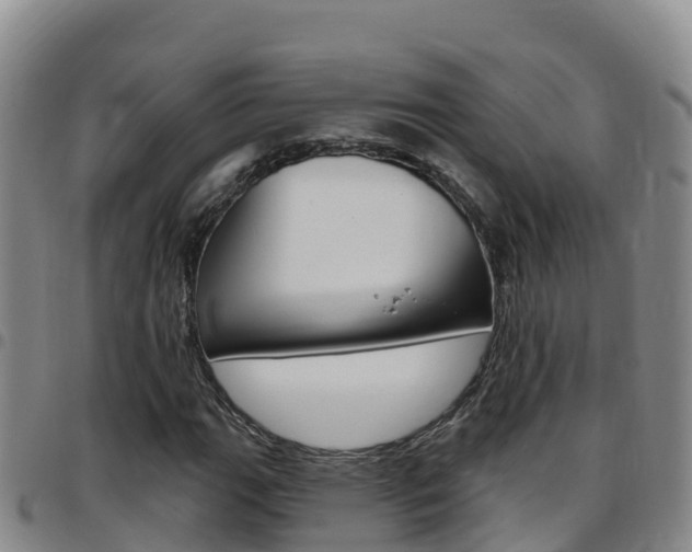 X0000097891111200803140959