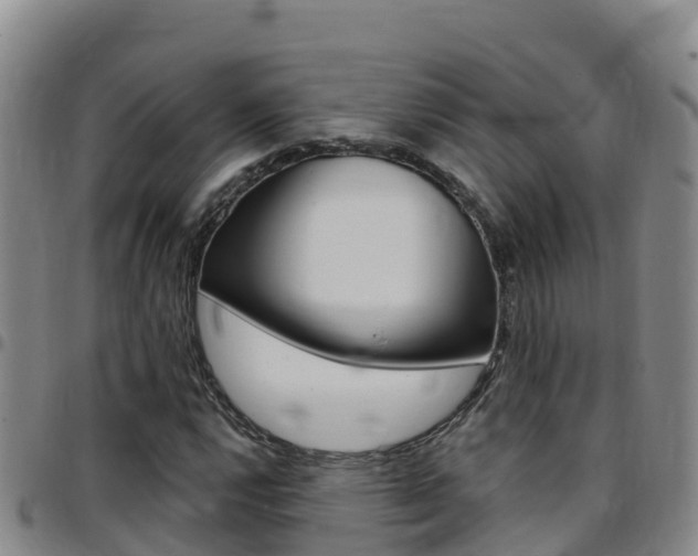 X0000097891112200803140959