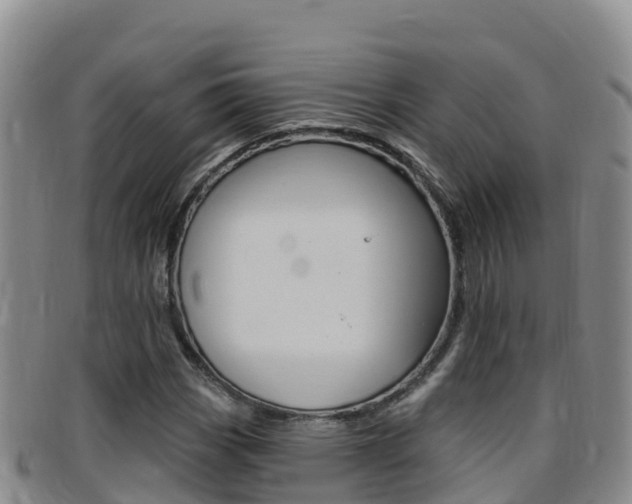 X0000097891113200803140959