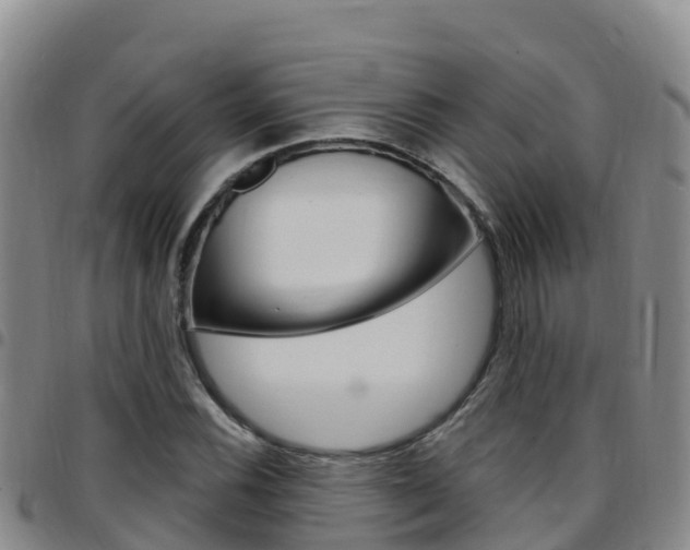 X0000097891116200803140959