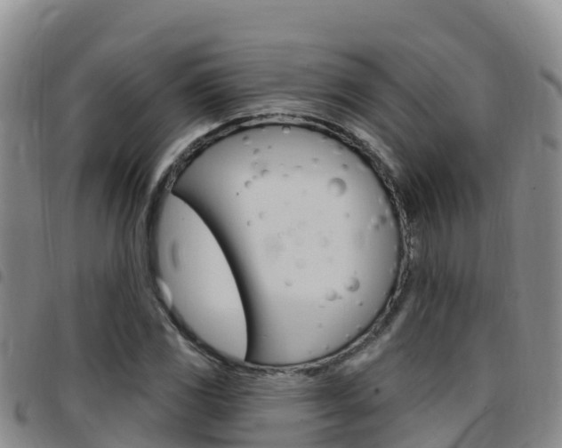 X0000097891117200803140959
