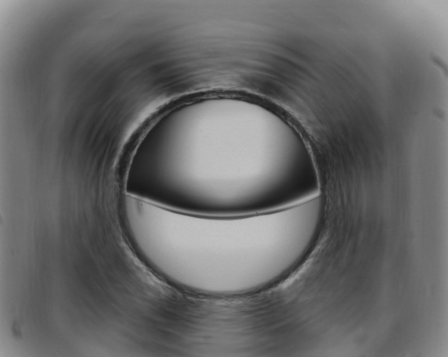 X0000097891118200803140959