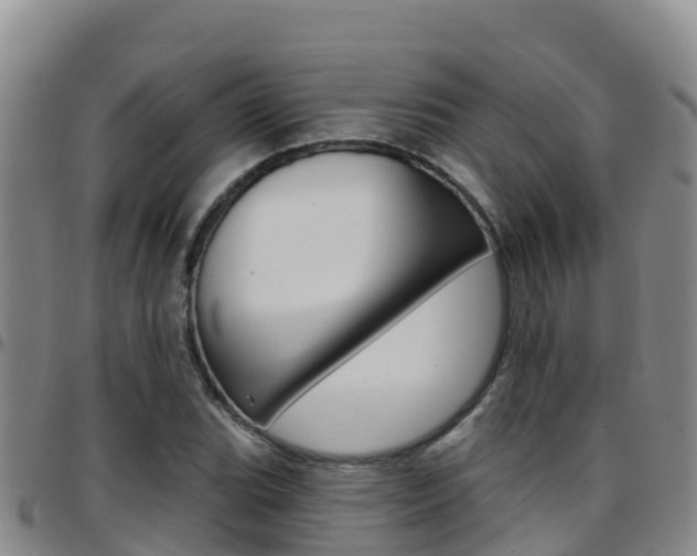X0000097891119200803140959
